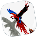 DIY 3D Drawing APK