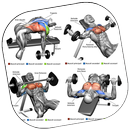 Training Exercise Tutorials APK