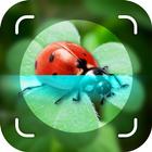 Picture Insect Bug Identifier biểu tượng