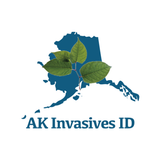 Alaska Invasives ID ícone