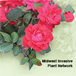 Landscape Alternatives