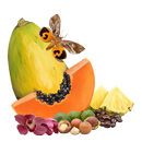 MyIPM Hawaii APK