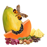 MyIPM Hawaii icono