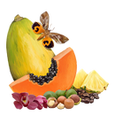 MyIPM Hawaii APK
