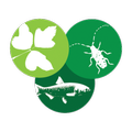 NJ Invasives