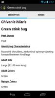 SE Agricultural Stink Bug ID screenshot 3
