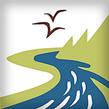 Washington Invasives