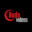 Budovideos, inc. APK