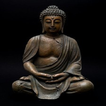 Buddha Quotes ikona