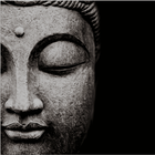Buddha's Footsteps App icon