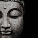 Les pas de Bouddha APK