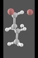 Organic Chemistry Visualized poster