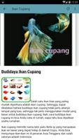 برنامه‌نما Budidaya IKan Cupang عکس از صفحه