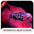 Kiat Budidaya Ikan Hias Terbaik icône