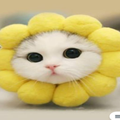 Cat Wallpapers Hd