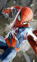 HD Wallpapers Spider syot layar 3