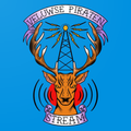 Veluwse Piraten Stream