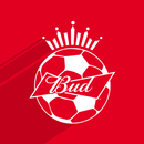 BUD Fútbol APK