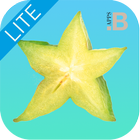 Smoothies LITE 아이콘