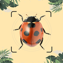 Insect ID: Bug identifier APK