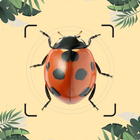 Insect ID: Bug identifier アイコン