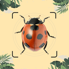 Insect ID: Bug identifier آئیکن