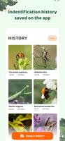 Insect ID: Bug identifier اسکرین شاٹ 3