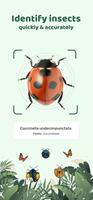 Insect ID: Bug identifier Affiche