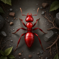Bug Hunt Ants
