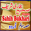 APK Bukhari Sharif Part 3 Urdu