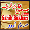 Bukhari Sharif Part 3 Urdu