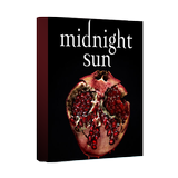Midnight Sun icône