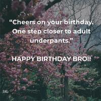 Birthday Wishes: Cute & Funny Quotes capture d'écran 1