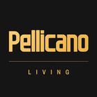 Pellicano Connect иконка