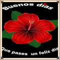 buenos dias mi amor