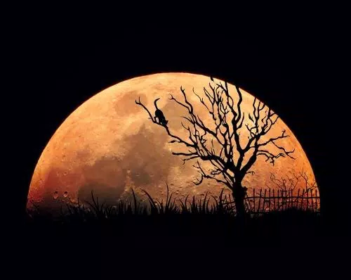 Full moon wallpaper HD APK for Android Download