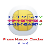 Bulk Phone Number Checker