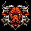 Correct Scores of The Bull