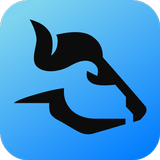 BULL icono