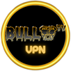 BULL VPN APK