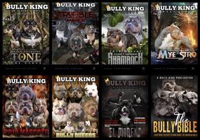 BULLY KING-poster