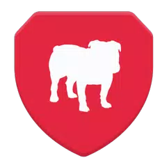 Baixar BullGuard VPN APK