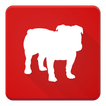 BullGuard Mobile Security