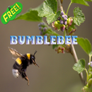 Bumblebee Ideas aplikacja