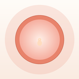 KinNest APK