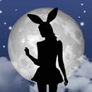 Bunny Girls - video chat APK
