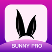 ”Bunny PRO