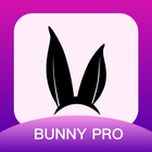 Bunny PRO 아이콘