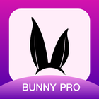 Bunny PRO 圖標