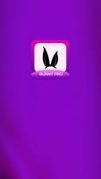 Bunny PRO Affiche